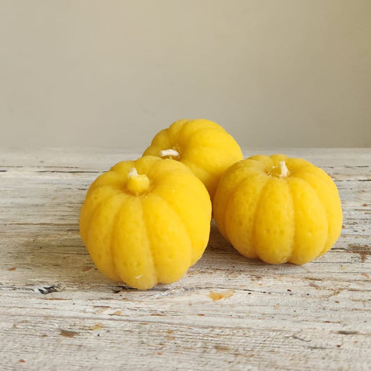 Beeswax Pumpkin Candle