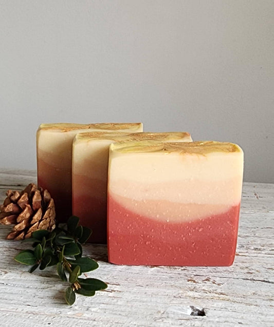 Sunset Noel Cold Processed Soap || Bath and body || Gifts under 10 ||