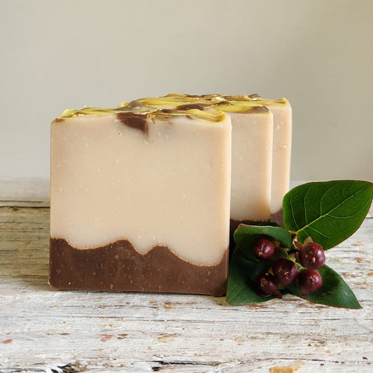 Woods and Fig Cold Processed Soap || Gifts under 10 || Bath and Body